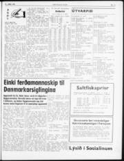 Síða 3