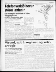 Síða 4