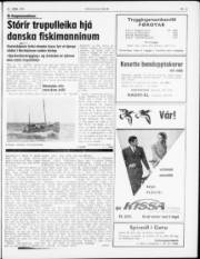 Síða 5