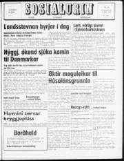 Síða 1