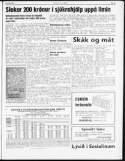 Síða 3