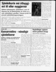 Síða 3