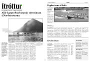 Síða 14