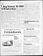 Síða 7