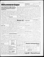 Síða 3