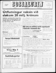 Síða 1