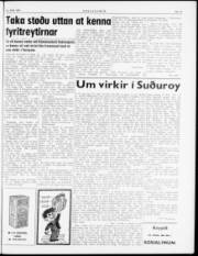 Síða 3