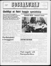 Síða 1