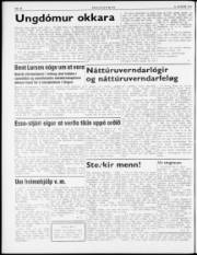 Síða 8