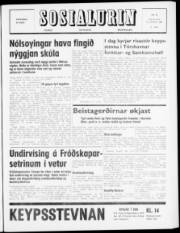 Síða 1
