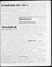 Síða 3