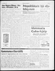 Síða 3