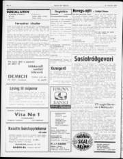 Síða 2