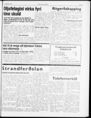 Síða 3