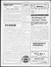 Síða 2
