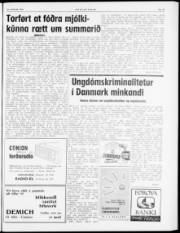 Síða 3