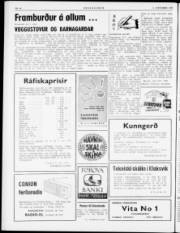 Síða 6