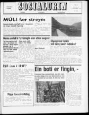 Síða 1