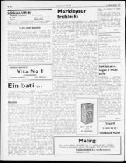 Síða 2
