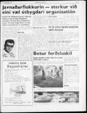 Síða 3
