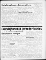 Síða 3