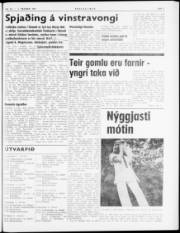 Síða 5