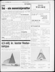 Síða 3