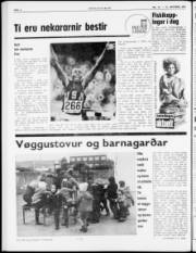 Síða 6