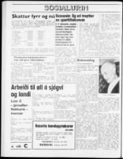 Síða 8