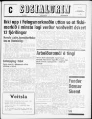 Síða 1