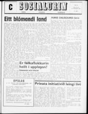 Síða 1