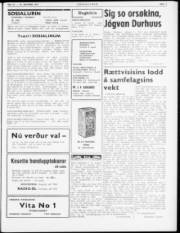 Síða 3
