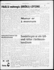 Síða 5
