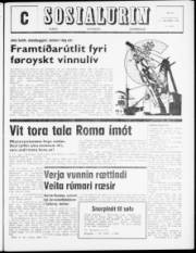 Síða 1