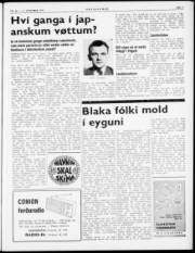 Síða 3