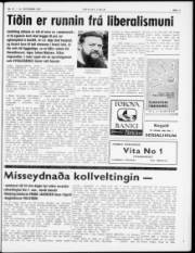 Síða 3