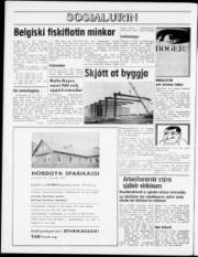 Síða 8