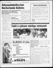 Síða 3