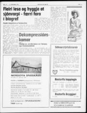 Síða 3