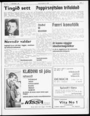 Síða 3