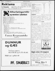 Síða 3