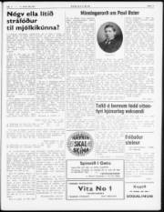 Síða 3