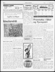 Síða 2