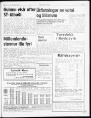 Síða 3