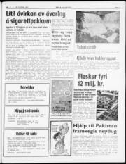 Síða 5