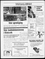 Síða 8