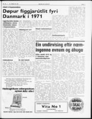 Síða 3