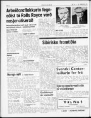 Síða 6