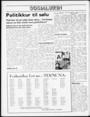 Síða 8