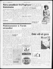 Síða 3